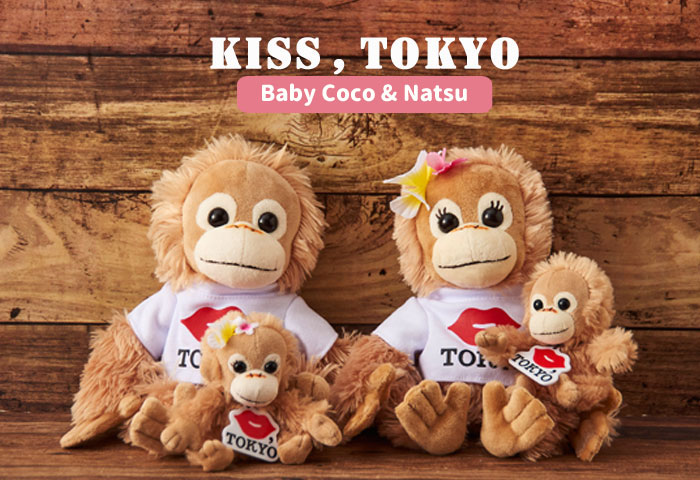 ベイビーココ Babycoco ドリーム ぽけっと ウェブショップ